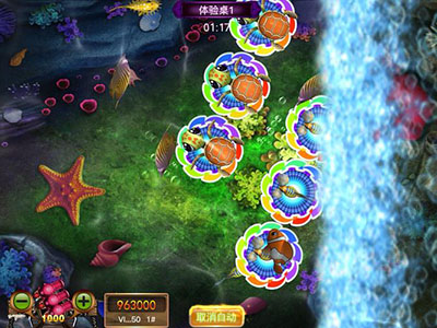 游戏十代星力全新